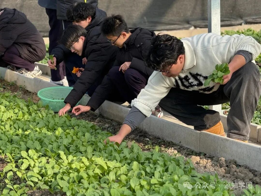 《在上海,有一所“种在田野里”的日高》配图12 - 大阪大学 - 源知学园