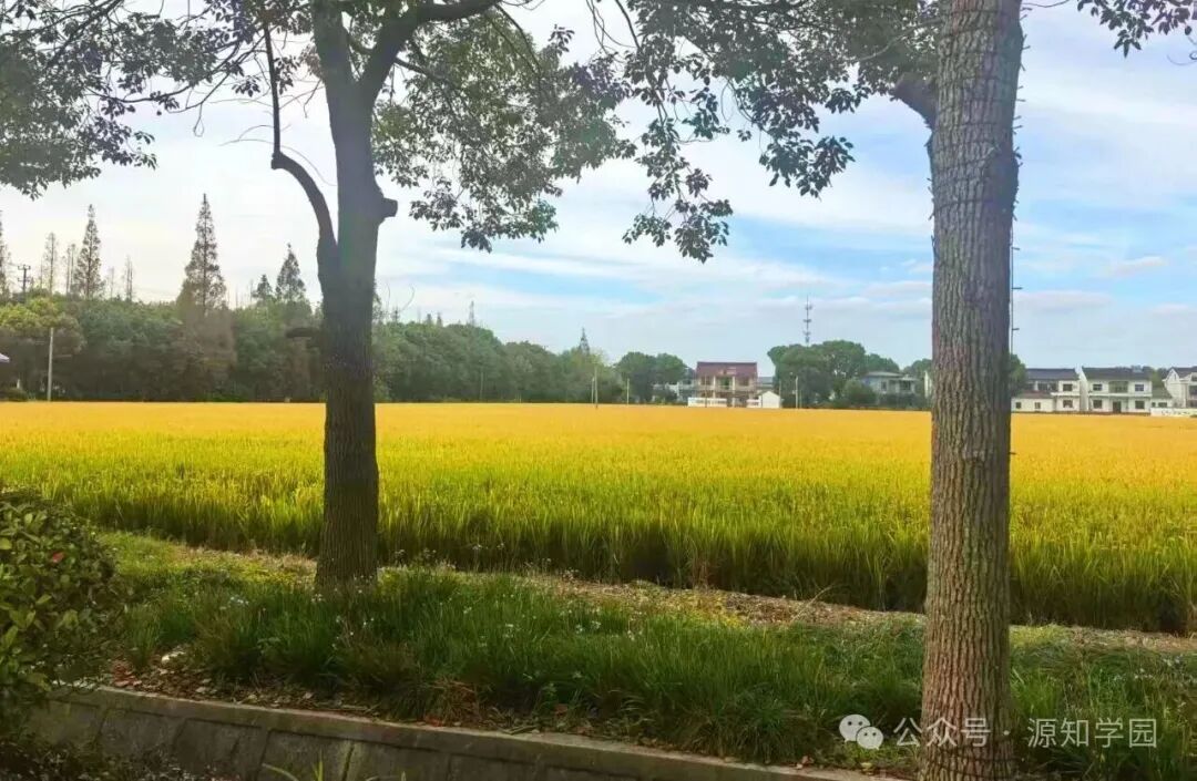 《在上海,有一所“种在田野里”的日高》配图1 - 大阪大学 - 源知学园