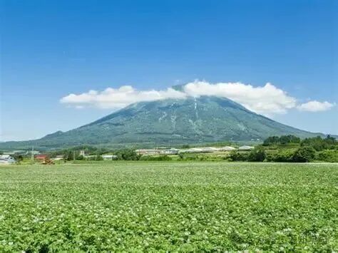 《在雪国做了一百年的‘扫地僧’:这所日本旧帝大,藏着被繁华都市忽略的顶级学术净土。》配图1 - 北海道大学 - 源知学园